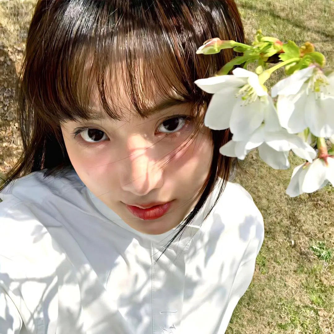 菲比梦游奇境